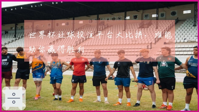 世界杯让球投注平台大比拼,谁能助你赢得胜利
