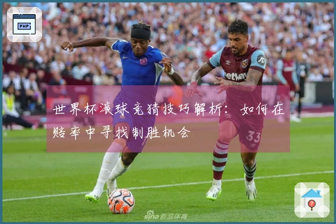 世界杯滚球竞猜技巧解析：如何在赔率中寻找制胜机会