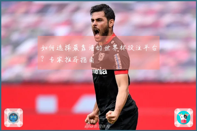 如何选择最靠谱的世界杯投注平台？专家推荐指南