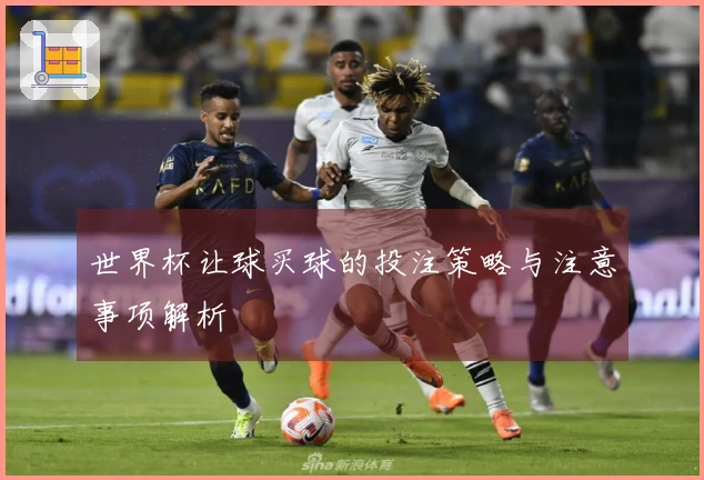 世界杯让球买球的投注策略与注意事项解析