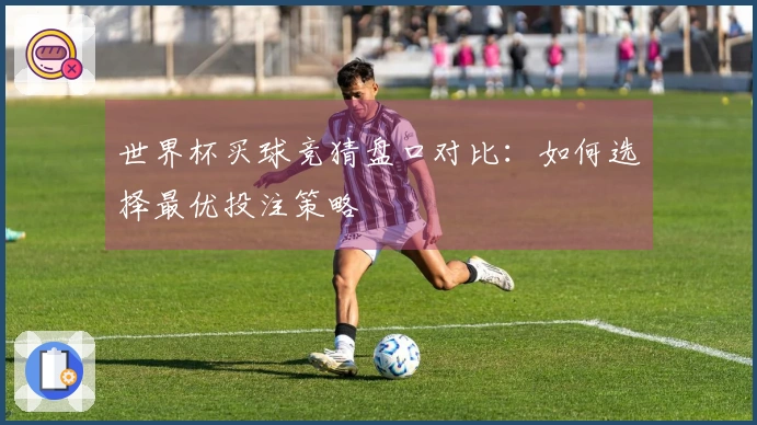 世界杯买球竞猜盘口对比：如何选择最优投注策略