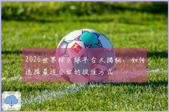 2026世界杯买球平台大揭秘，如何选择最适合你的投注方式