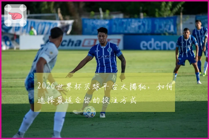 2026世界杯买球平台大揭秘，如何选择最适合你的投注方式