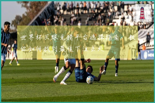 世界杯买球竞猜平台选择指南，教你如何找到最佳下注去处