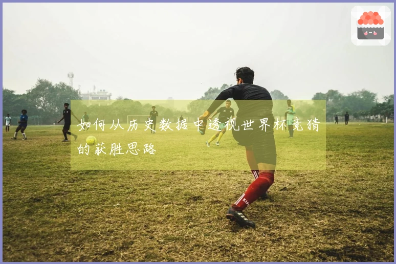 如何从历史数据中透视世界杯竞猜的获胜思路