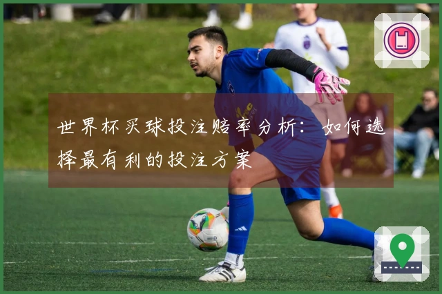 世界杯买球投注赔率分析：如何选择最有利的投注方案