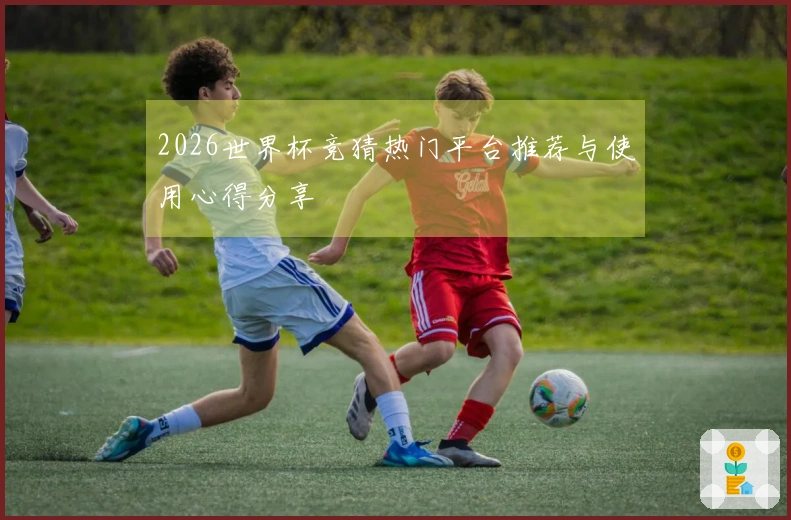 2026世界杯竞猜热门平台推荐与使用心得分享