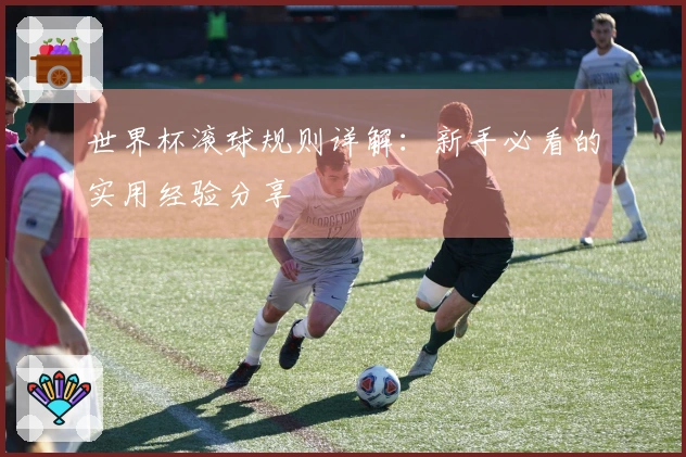 世界杯滚球规则详解：新手必看的实用经验分享