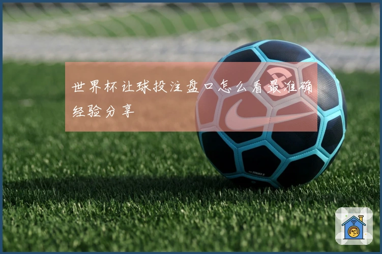 世界杯让球投注盘口怎么看最准确经验分享