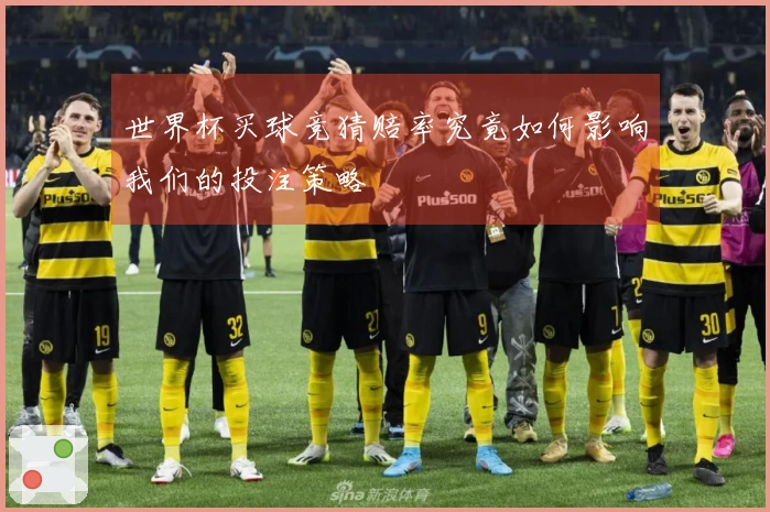 世界杯买球竞猜赔率究竟如何影响我们的投注策略
