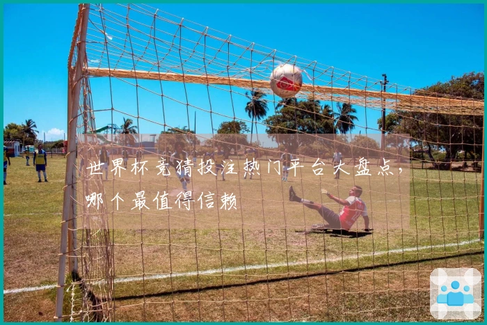 世界杯竞猜投注热门平台大盘点，哪个最值得信赖