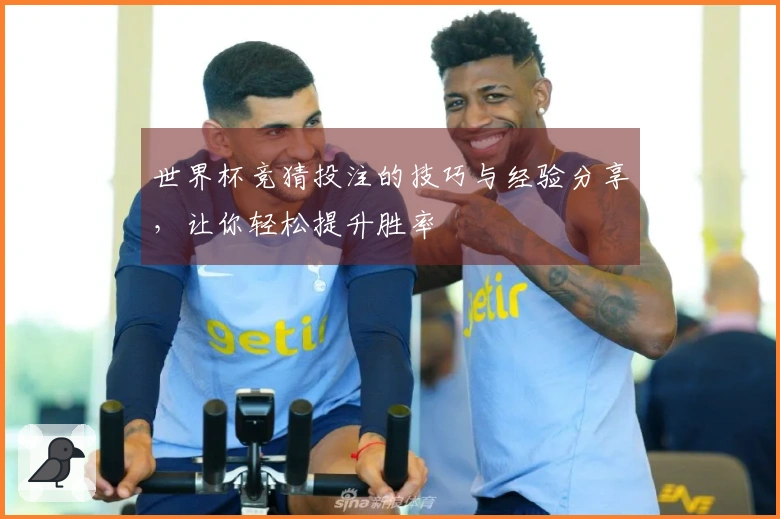 世界杯竞猜投注的技巧与经验分享,让你轻松提升胜率