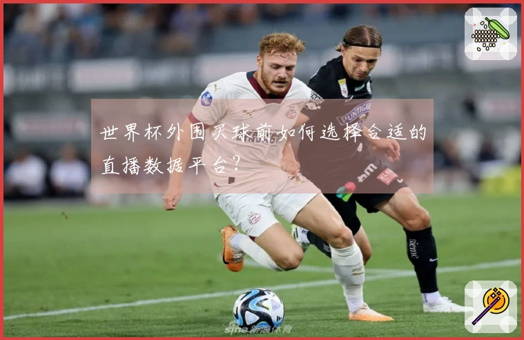 世界杯外围买球前如何选择合适的直播数据平台？