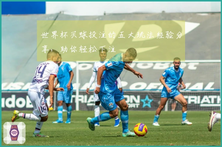 世界杯买球投注的五大玩法经验分享，助你轻松下注