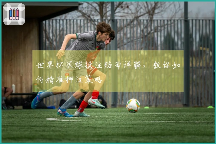 世界杯买球投注赔率详解,教你如何精准押注策略