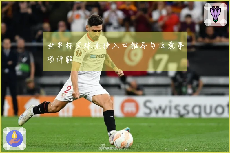 世界杯买球竞猜入口推荐与注意事项详解